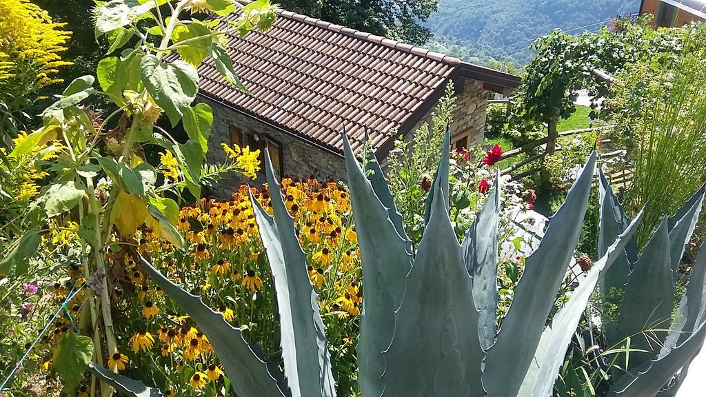 Agriturismo Zertin Gravedona Eksteriør bilde