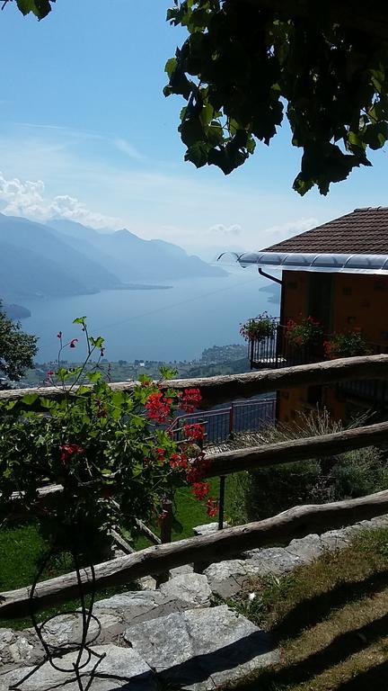 Agriturismo Zertin Gravedona Eksteriør bilde